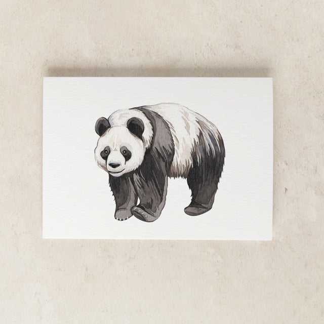 mini-panda-watercolour-greeting-card-sophie-brabbins