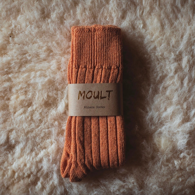 alpaca-lounging-socks-medium-burnt-orange-moult