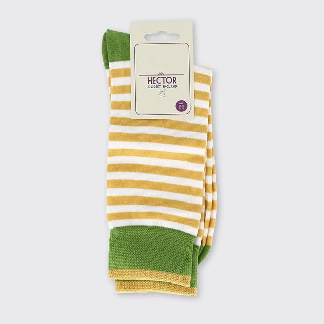 hector-mens-stripe-socks-sage-ochre-forever-england