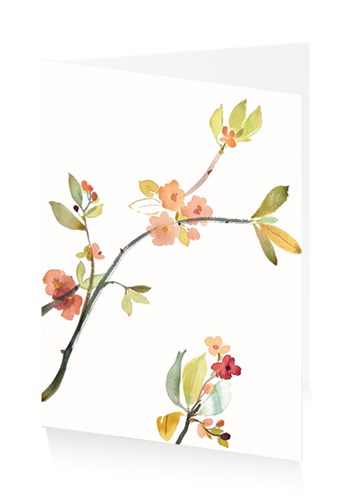 may-blossom-by-susan-kane-greeting-card-artpress