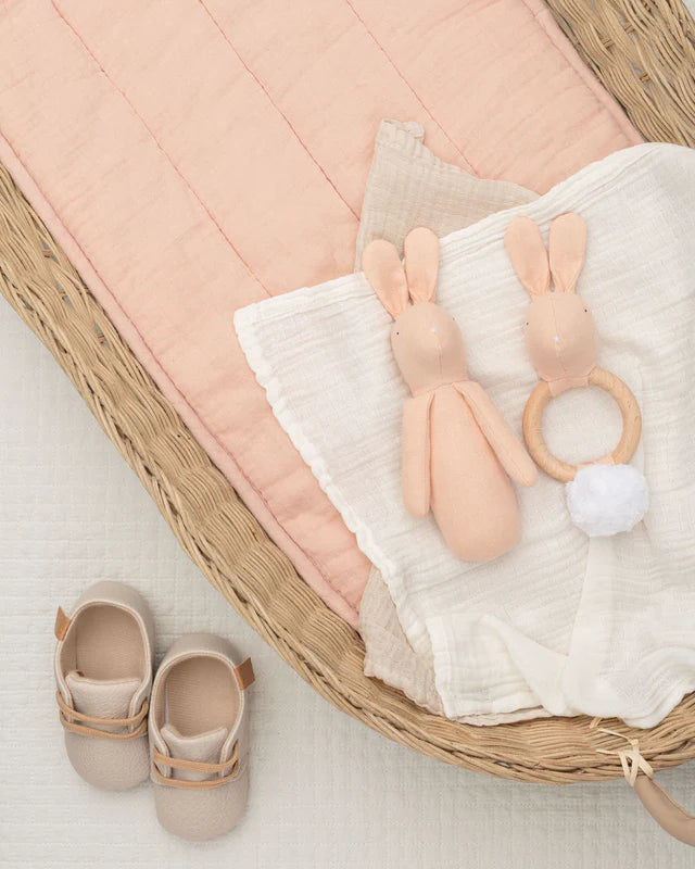 the-teethers-rabbit-mr-pickles