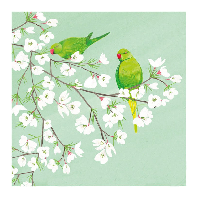 parakeets-on-cherry-branches-richmond-park-greeting-card-art-file