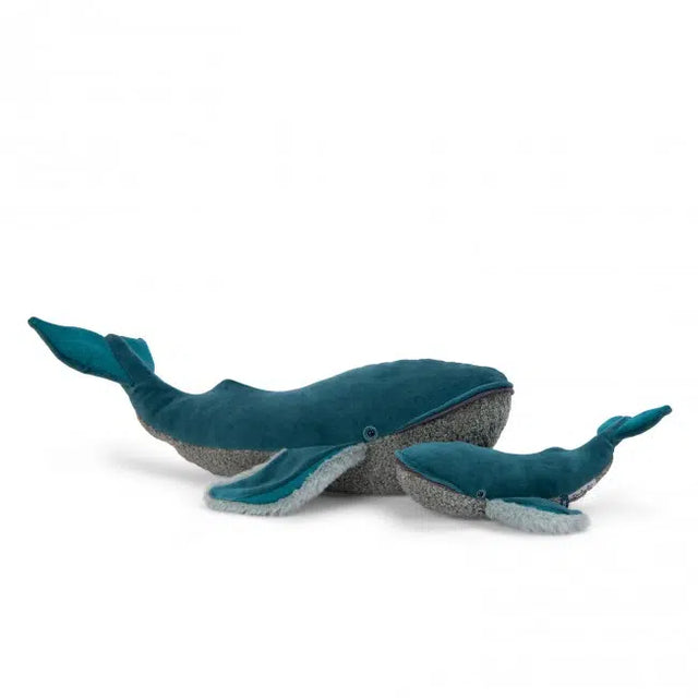 Large Whale: Tout Autor du Monde