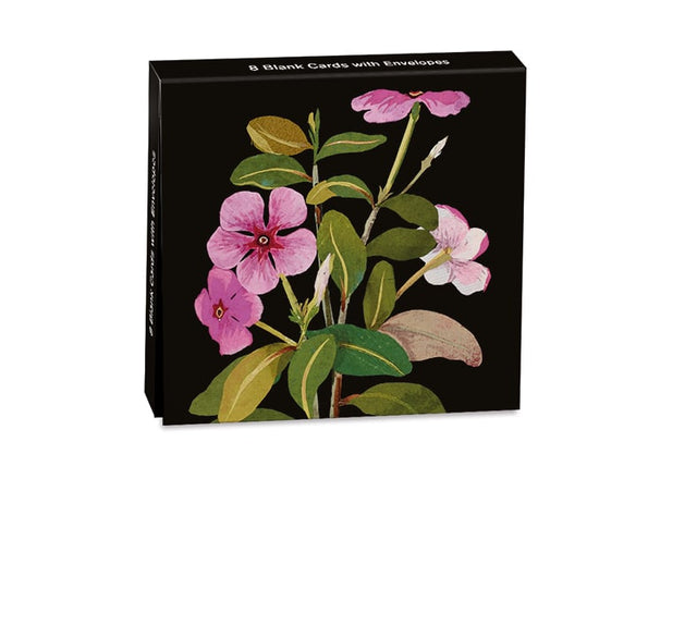 Delany Vinca Rosea Mini Notecard Wallet