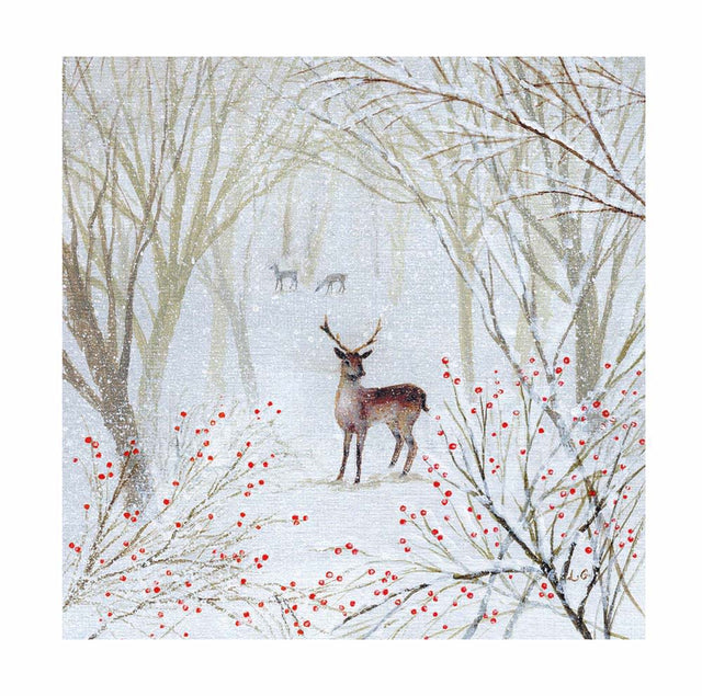 winter-walks-christmas-box-museums-galleries