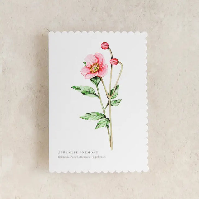 japanese-anemone-greeting-card-sophie-brabbins