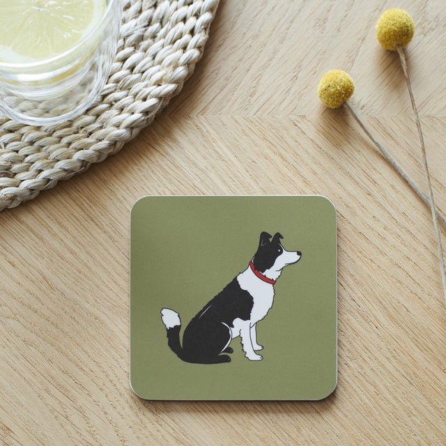 Border Collie Coaster - Sweet William