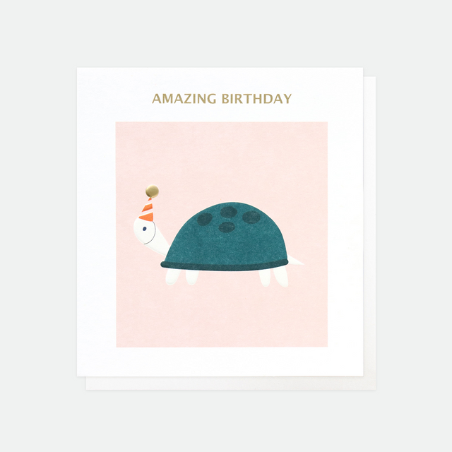 Amazing Birthday Turtle Card - Caroline Gardner