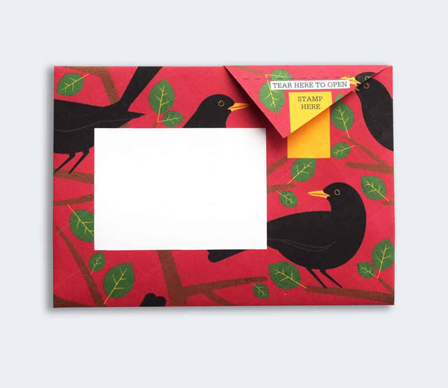 dawn-chorus-pigeon-letters-pigeon