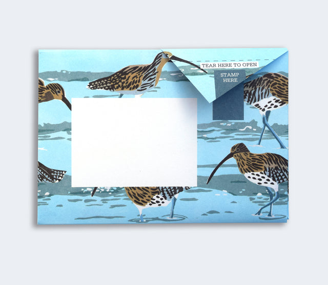 hebridean-pigeon-letters-pigeon