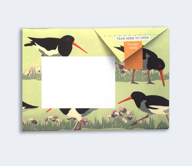hebridean-pigeon-letters-pigeon