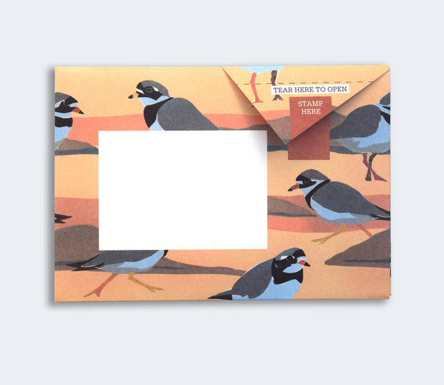 hebridean-pigeon-letters-pigeon