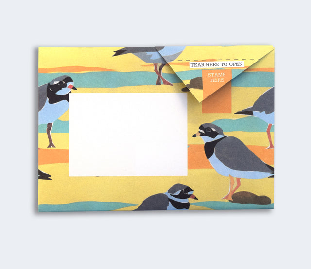 hebridean-pigeon-letters-pigeon