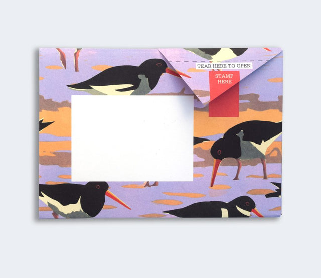 hebridean-pigeon-letters-pigeon