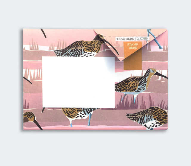 hebridean-pigeon-letters-pigeon