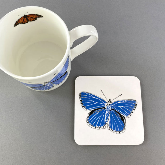 Adonis Blue Butterfly Coaster  - Penguin Ink