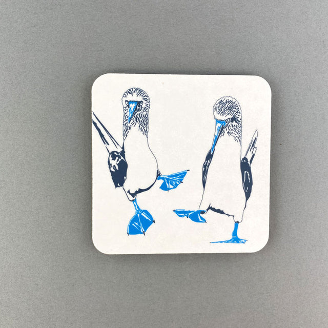 Blue Footed Boobies Coaster - Penguin Ink