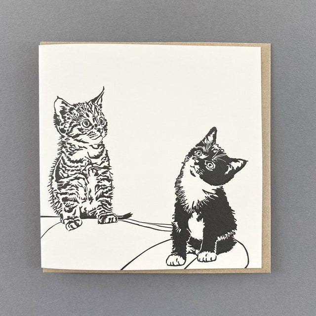 playtime-cats-letterpress-card-penguin-ink