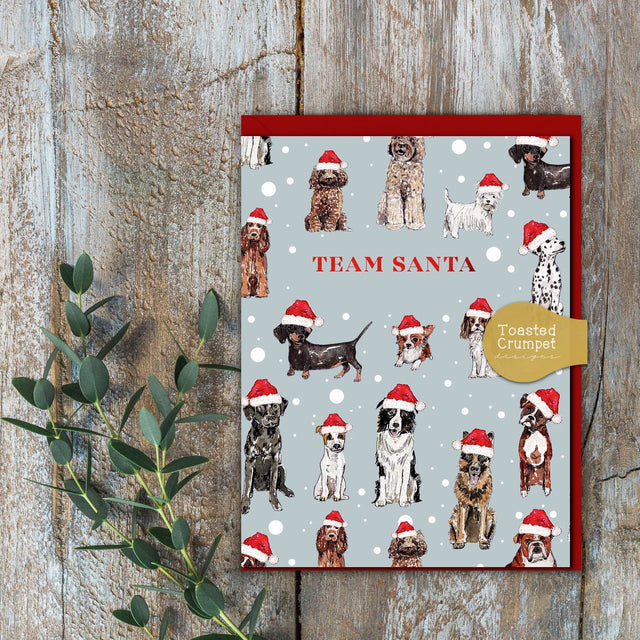 Team Santa Christmas Card - Mini Moments - Toasted Crumpet