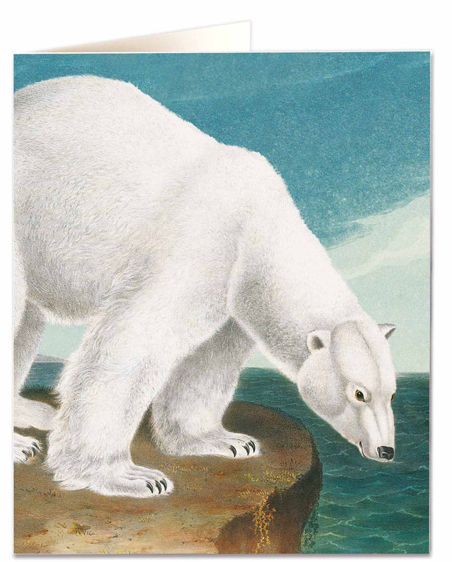 polar-bear-card-archivist-gallery