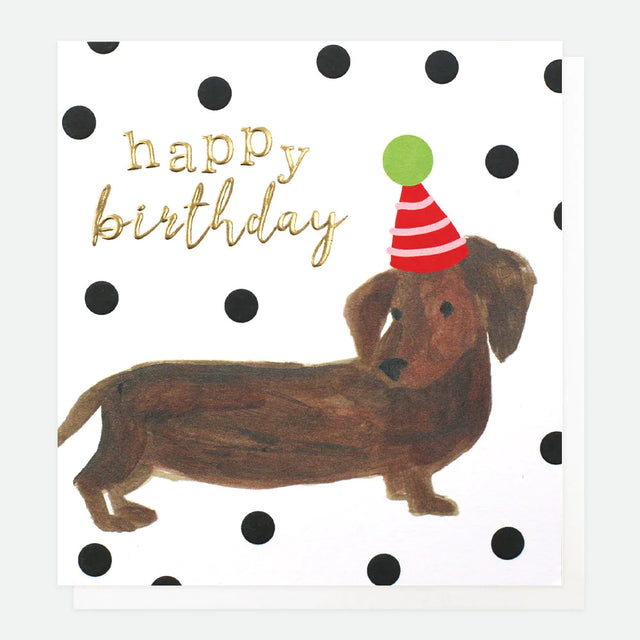 Sausage Dog Birthday Card - Caroline Gardner