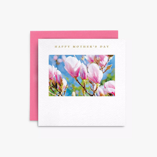 Pink Magnolias Mother's Day - Susan O'Hanlon