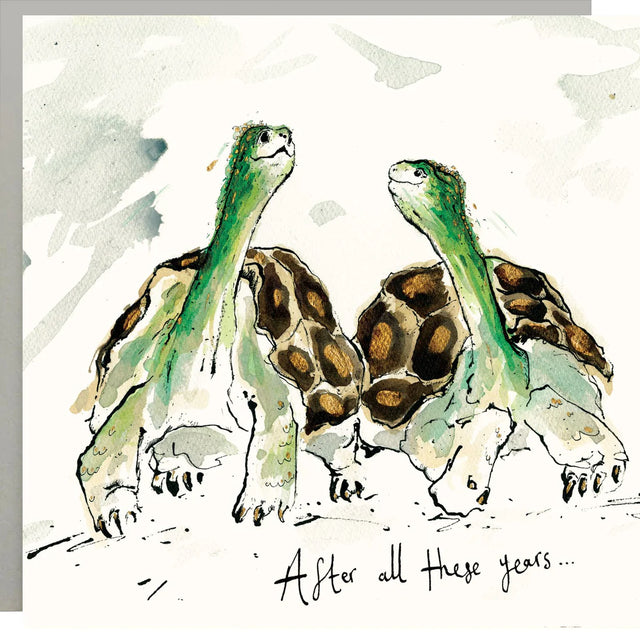  after-all-these-years-tortoise-card-anna-wright