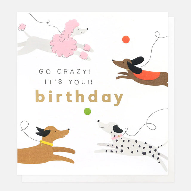 go-crazy-its-your-birthday-card-caroline-gardner