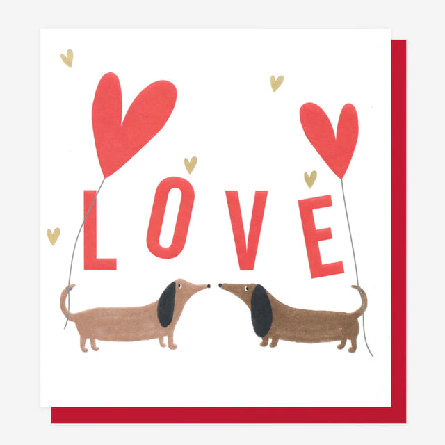 sausage-dog-love-valantines-card-caroline-gardner