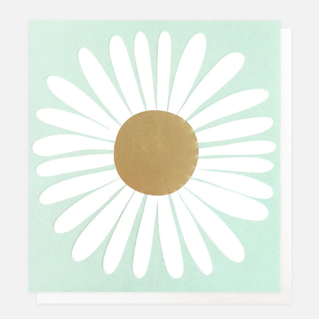 white-daisy-blank-card-caroline-gardner