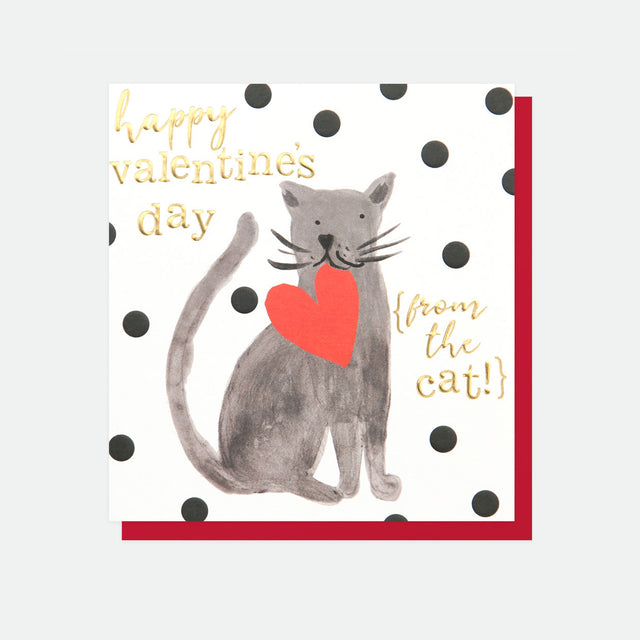 Happy Valentine's Day From The Cat Card - Caroline Gardner