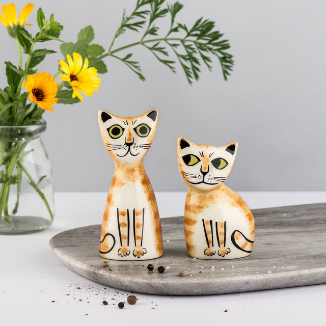 ginger-tabby-cat-salt-pepper-shakers-hannah-turner