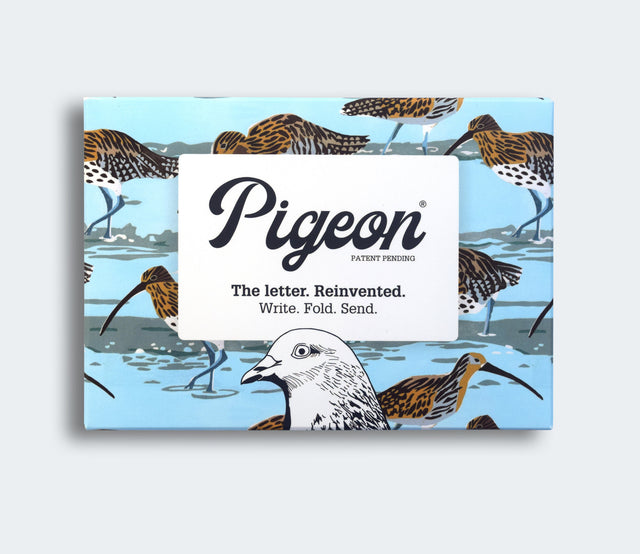 hebridean-pigeon-letters-pigeon