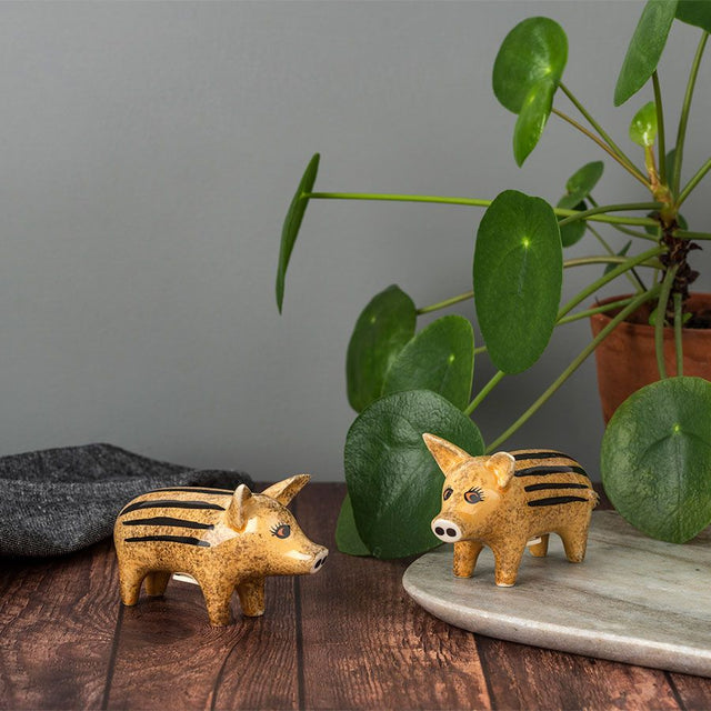 wild-boar-piglets-salt-pepper-hannah-turner