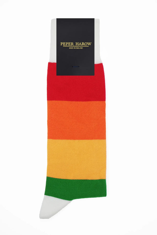 Blockstripe Men's Socks - Rainbow - Peper Harow