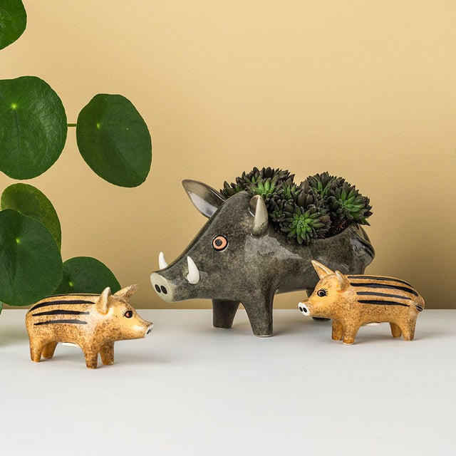 wild-boar-piglets-salt-pepper-hannah-turner